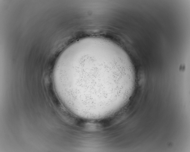 X0000113080515200909182052