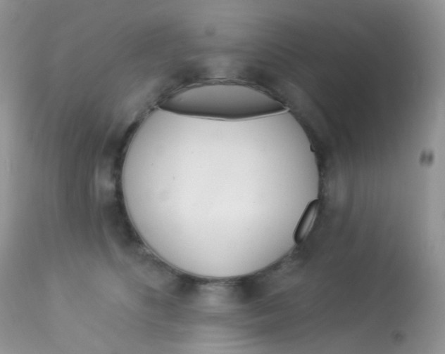 X0000113080516200909182052