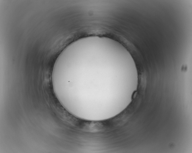 X0000113080517200909182052