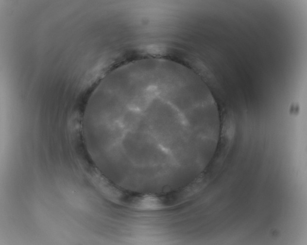 X0000113080518200909182052