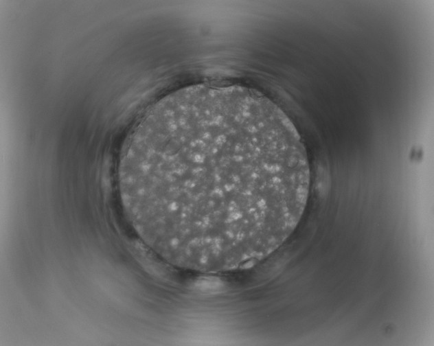 X0000113080519200909182052