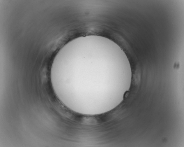 X0000113080520200909182052