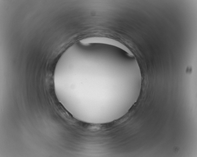 X0000113080521200909182052
