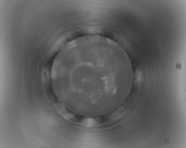 X0000113080522200909182052