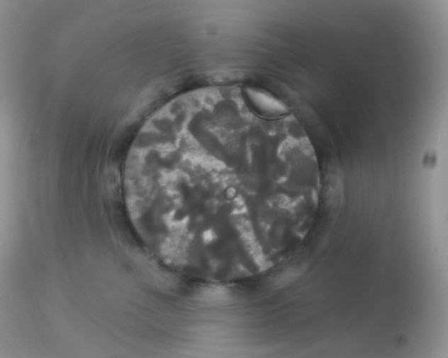 X0000113080523200909182052
