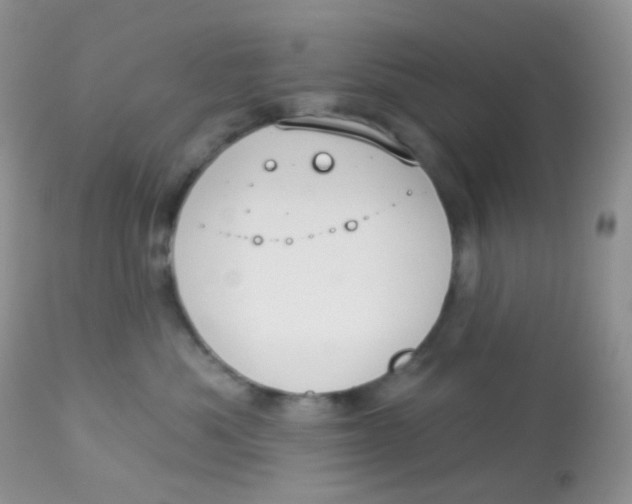 X0000113080525200909182052