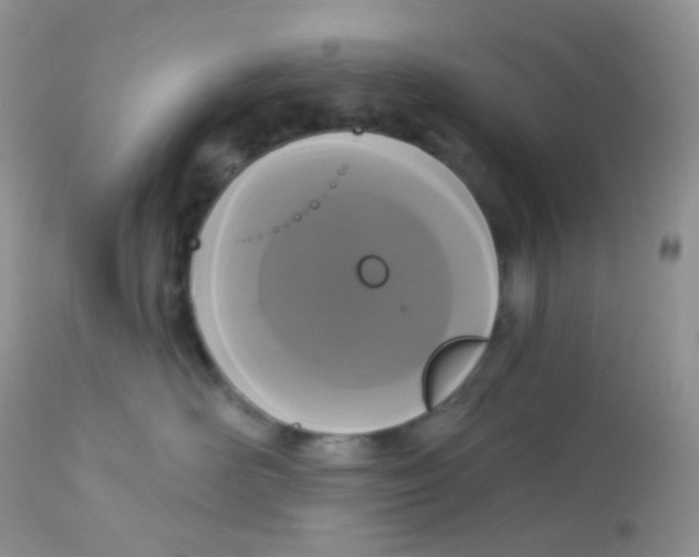 X0000113080526200909182052