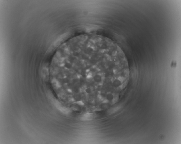 X0000113080527200909182052
