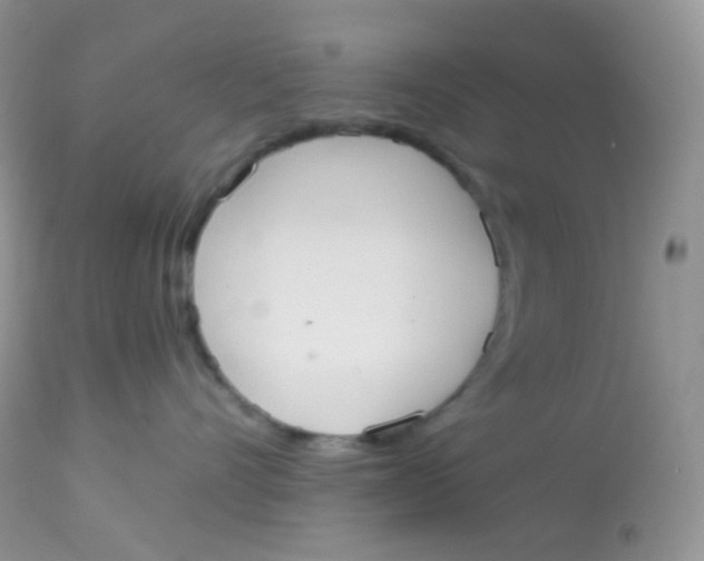 X0000113080528200909182052