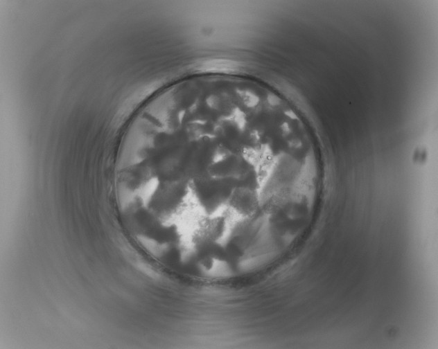 X0000113080529200909182051