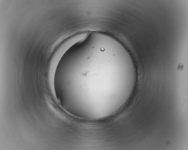 X0000113080530200909182051