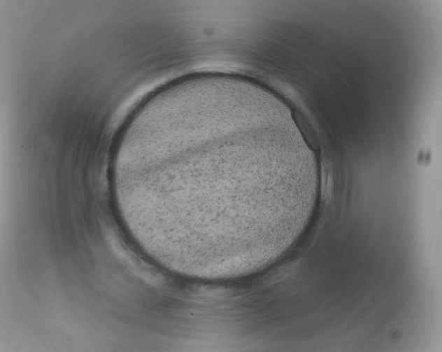 X0000113080531200909182051