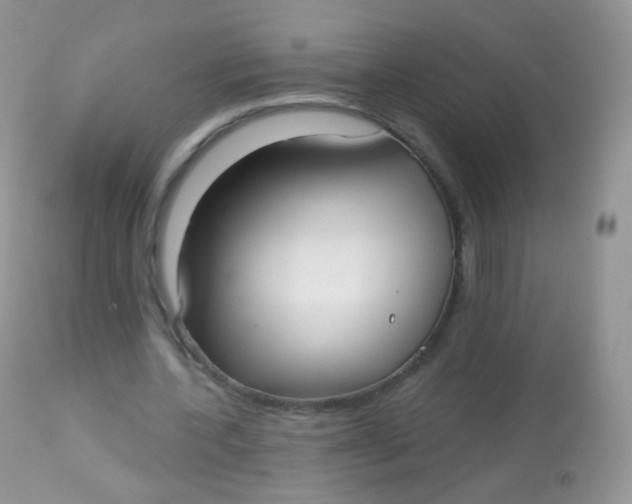 X0000113080532200909182051