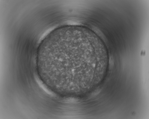 X0000113080533200909182051