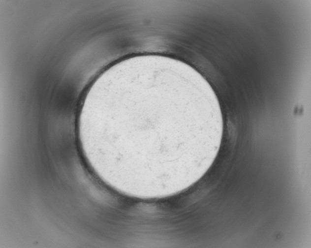 X0000113080534200909182051