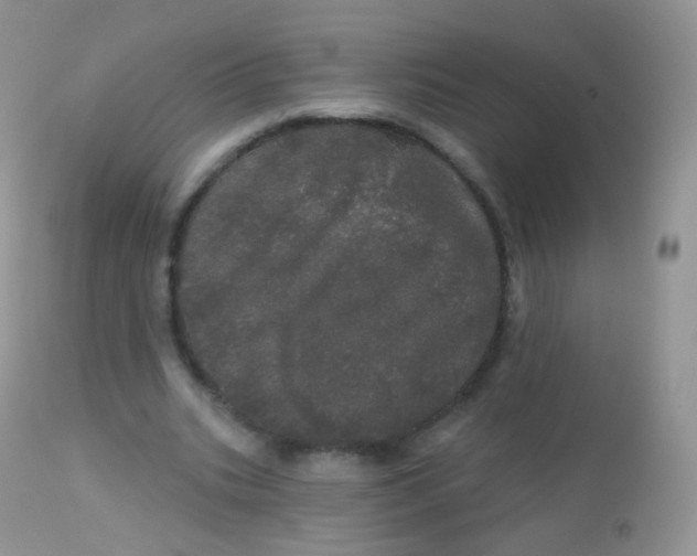 X0000113080535200909182052