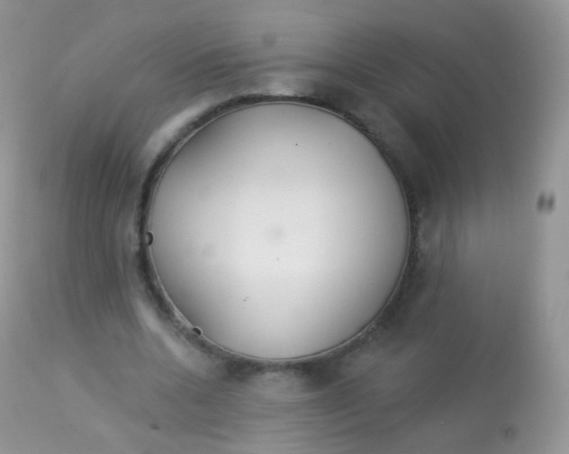 X0000113080536200909182052
