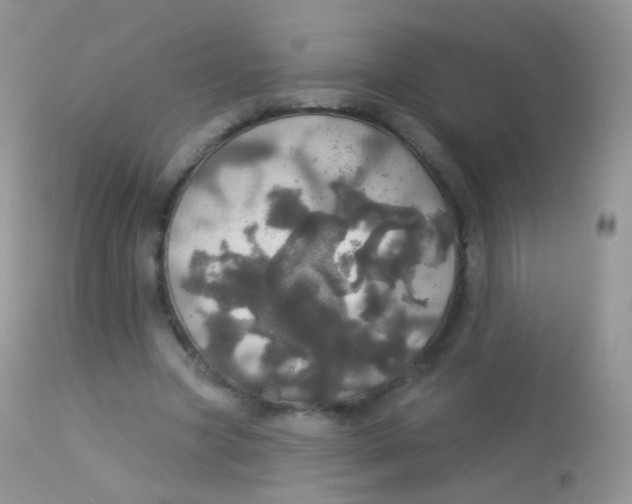 X0000113080537200909182052