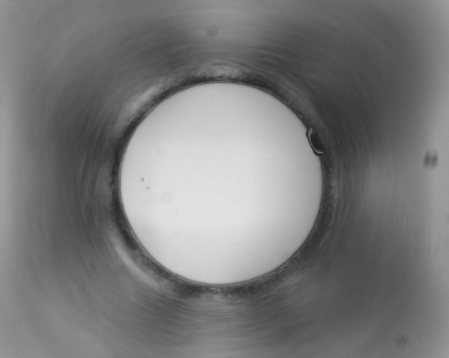 X0000113080538200909182052
