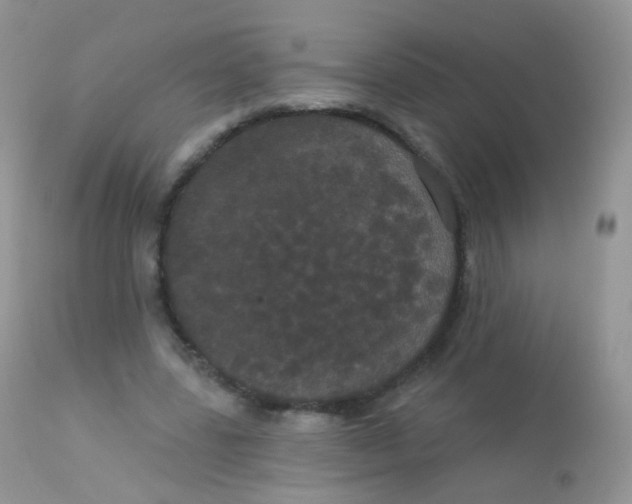 X0000113080539200909182052
