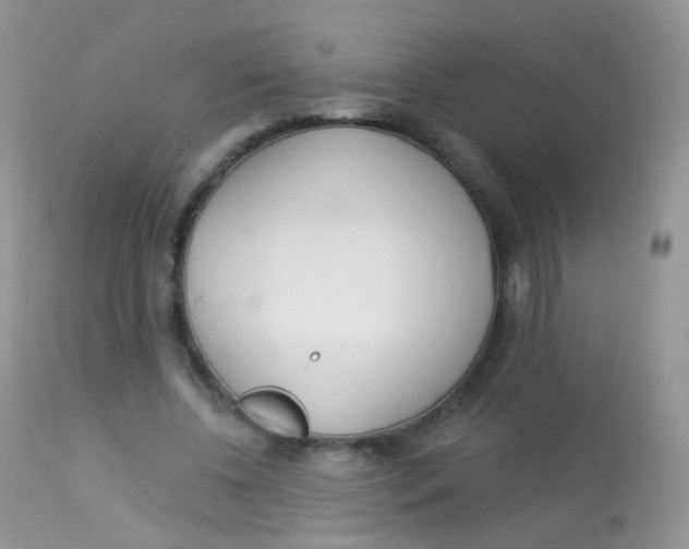 X0000113080540200909182052
