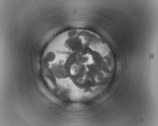 X0000113080541200909182052