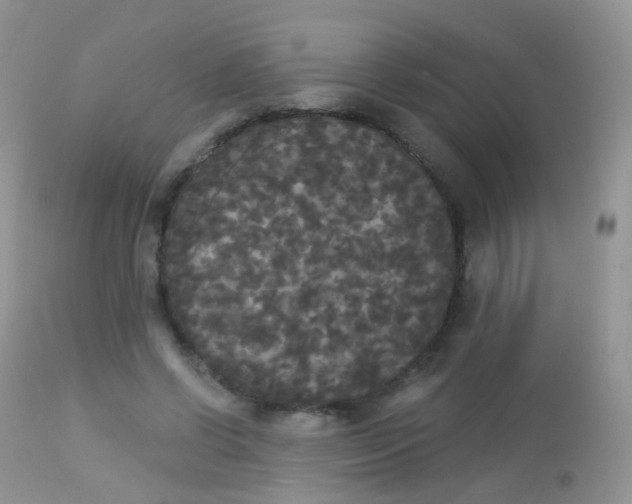 X0000113080542200909182052