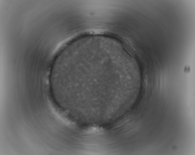 X0000113080543200909182052