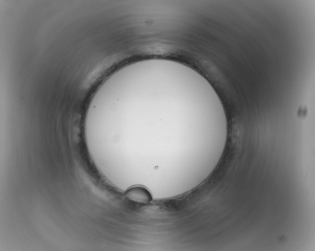X0000113080544200909182052