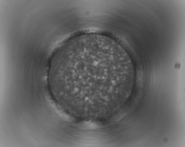 X0000113080545200909182052