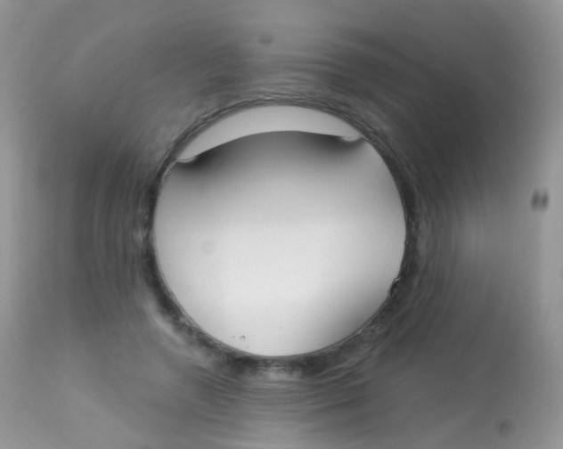 X0000113080546200909182052