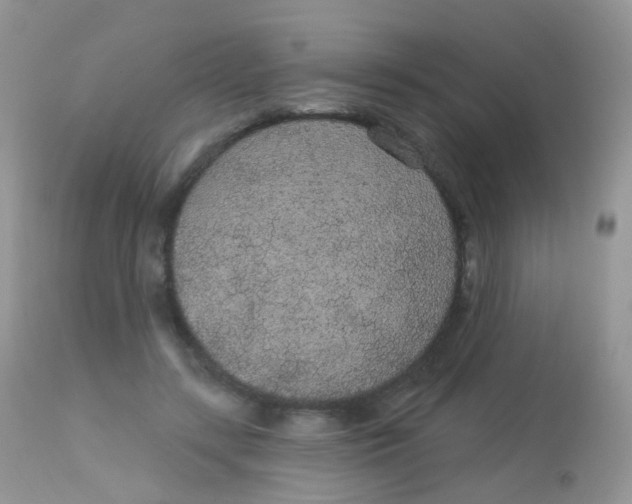 X0000113080547200909182052