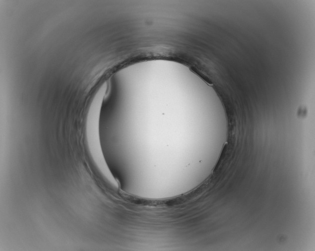 X0000113080548200909182052