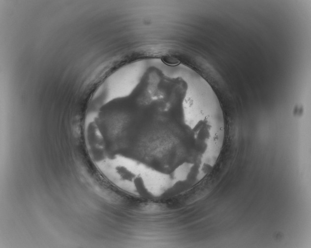 X0000113080549200909182052