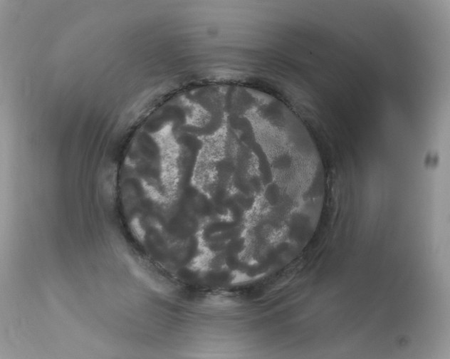 X0000113080550200909182052