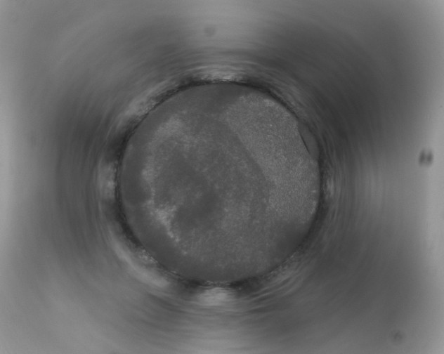 X0000113080551200909182052