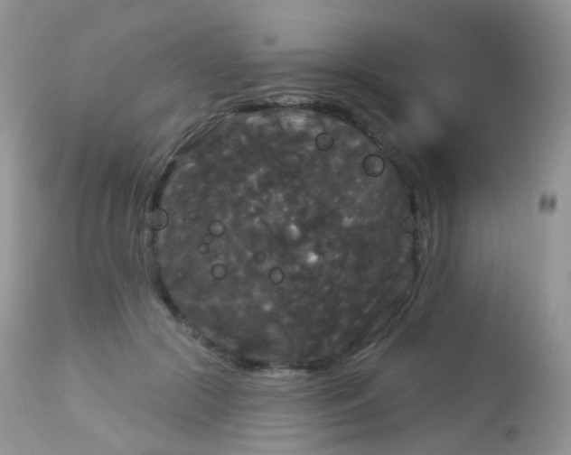 X0000113080553200909182052