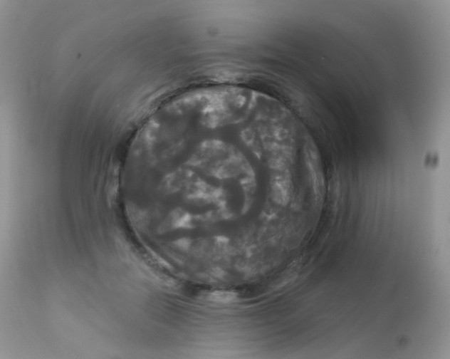 X0000113080554200909182052