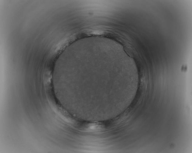 X0000113080555200909182052