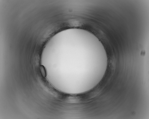 X0000113080556200909182052