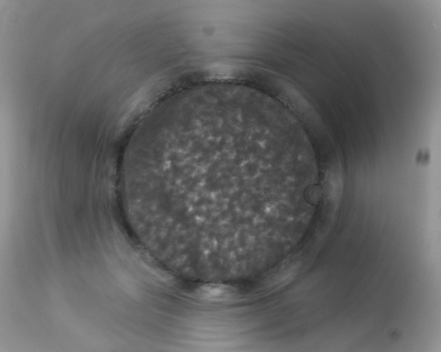 X0000113080557200909182052
