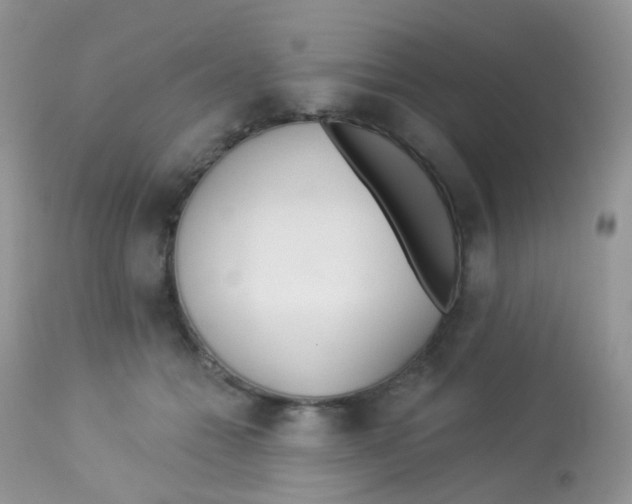X0000113080558200909182052
