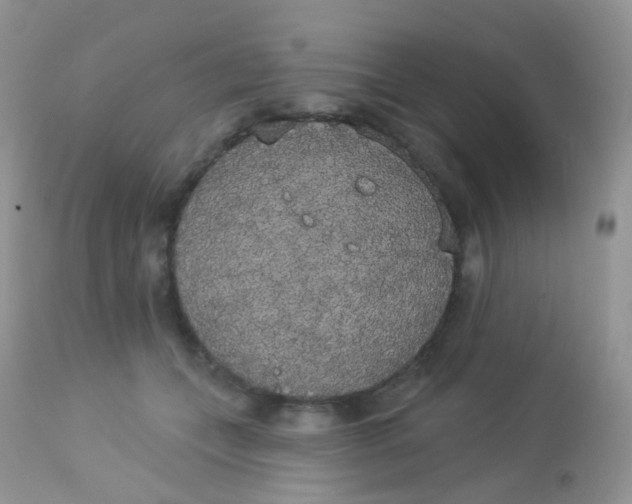 X0000113080559200909182052