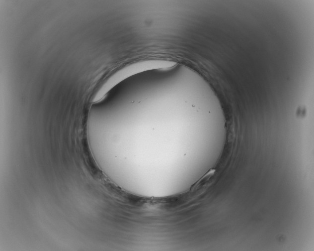 X0000113080560200909182052