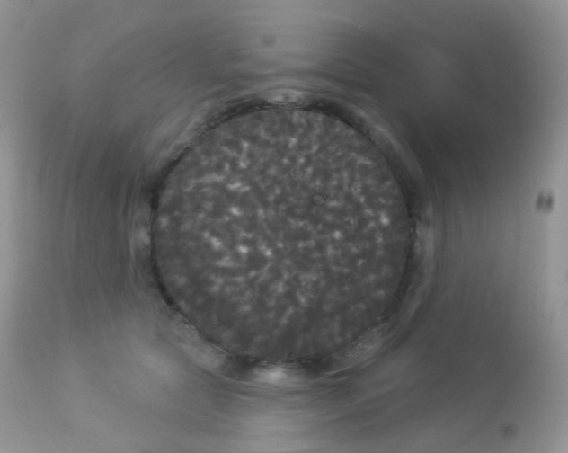 X0000113080561200909182052