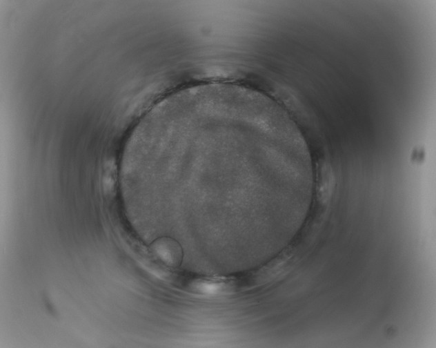 X0000113080563200909182052
