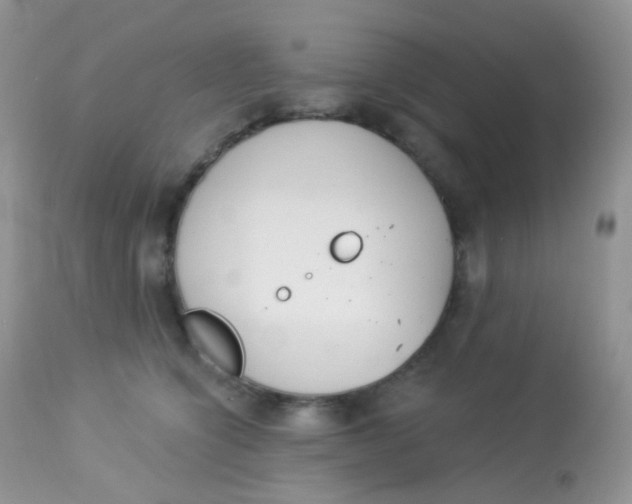 X0000113080564200909182052