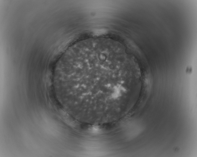 X0000113080565200909182052