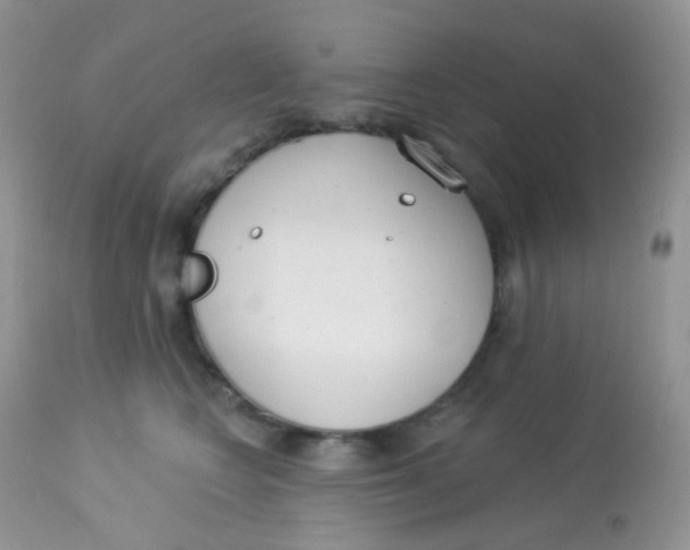 X0000113080566200909182052