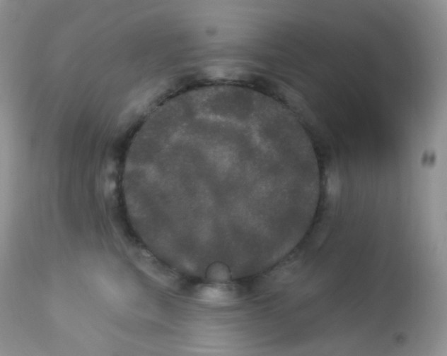 X0000113080567200909182052